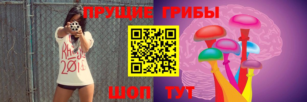 Псилоцибиновые грибы GOLDEN TEACHER Лыткарино